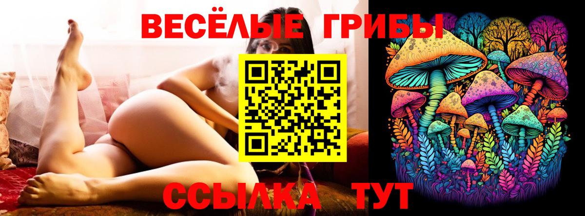 Псилоцибиновые грибы Psilocybine cubensis Старая Купавна